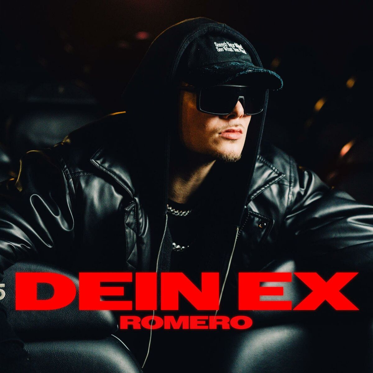 Album cover of Dein Ex