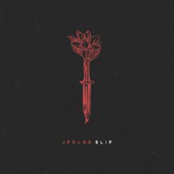 Cover of Slip