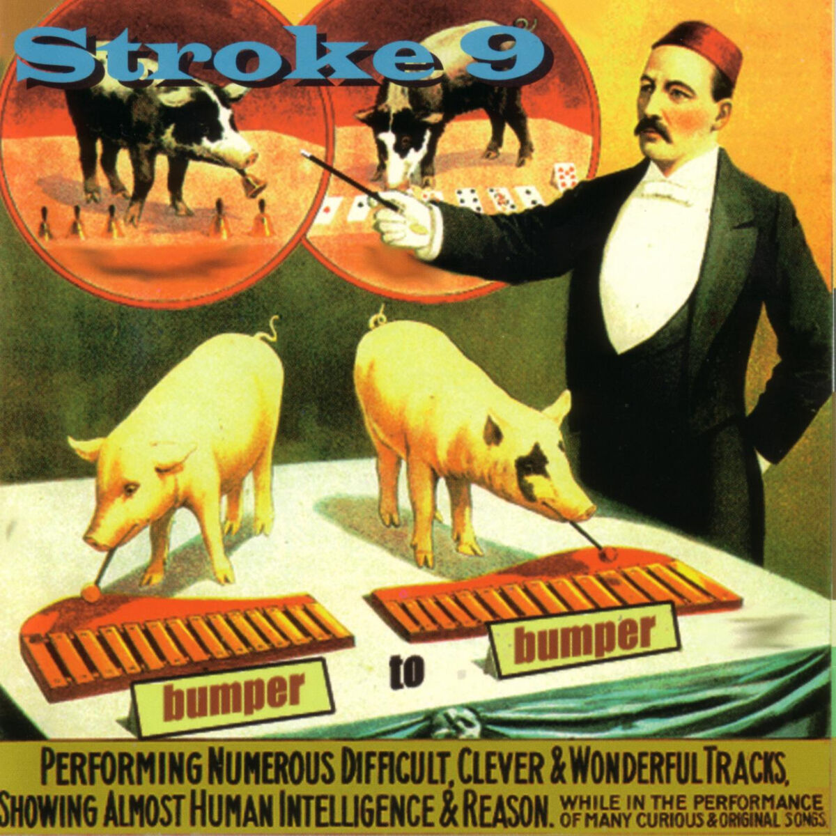 Album cover of Bumper To Bumper