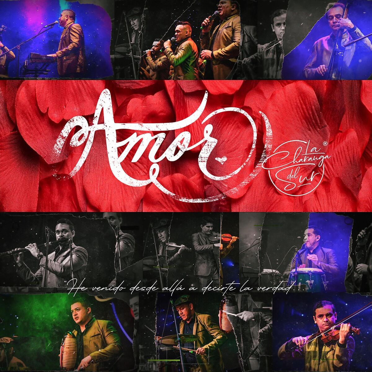 Album cover of Amor