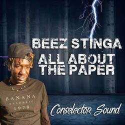 Cover of All About the Paper