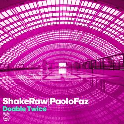Cover of Doable Twice