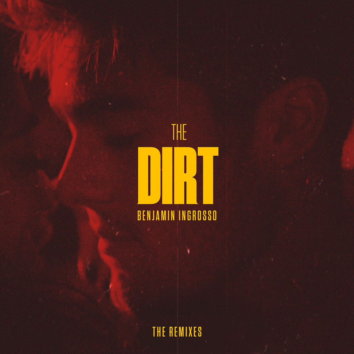 Album cover of The Dirt (The Remixes)
