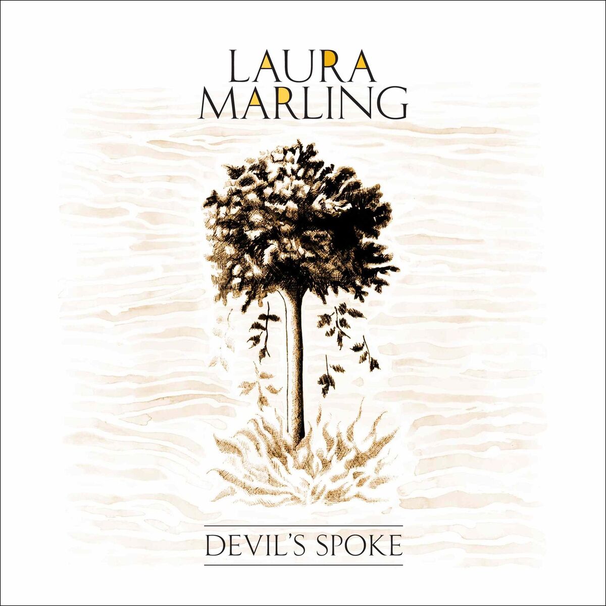 Album cover of Devil's Spoke