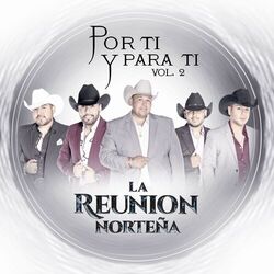 Cover of Por Ti y para Ti, Vol. 2