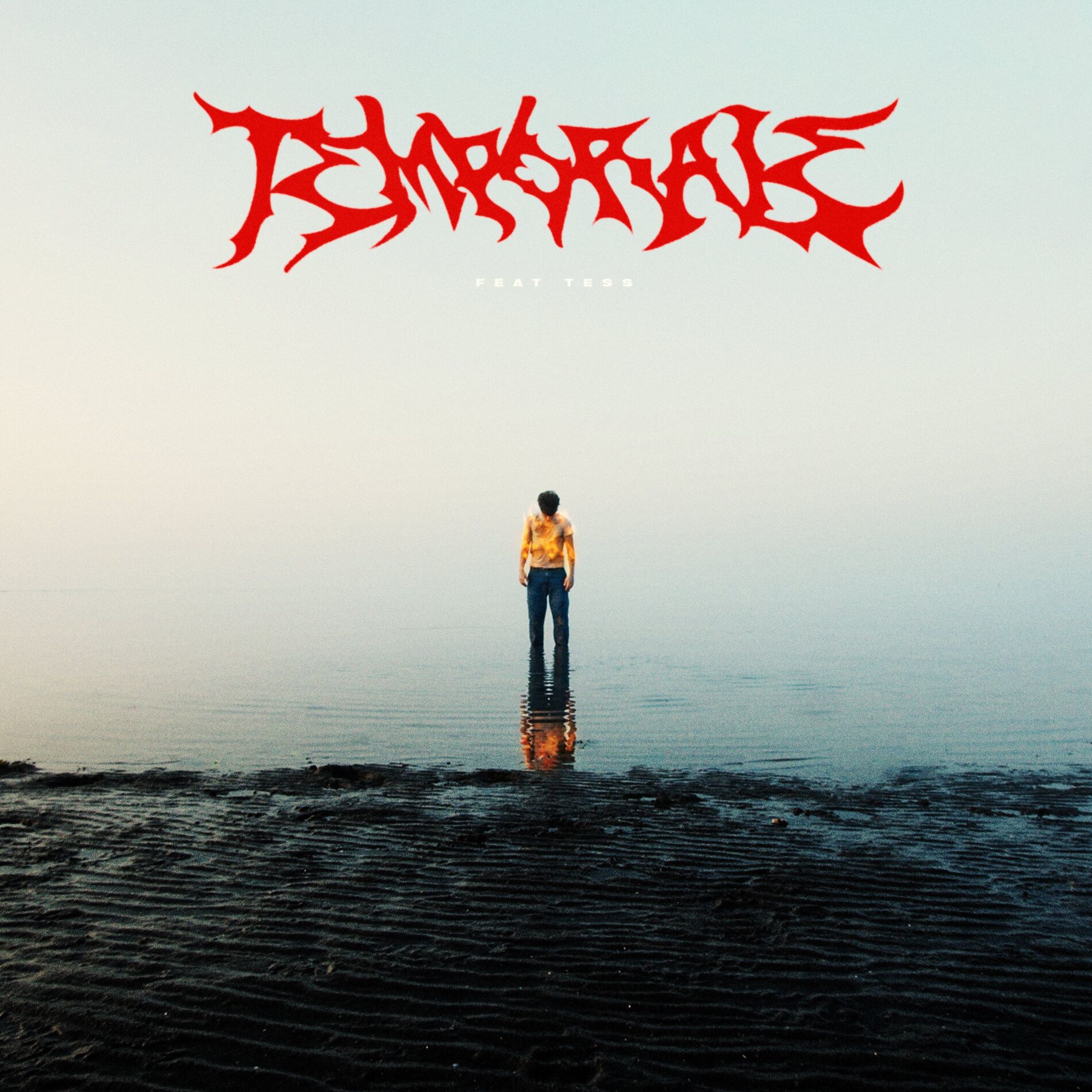 Album cover of Temporale (feat. Tess)