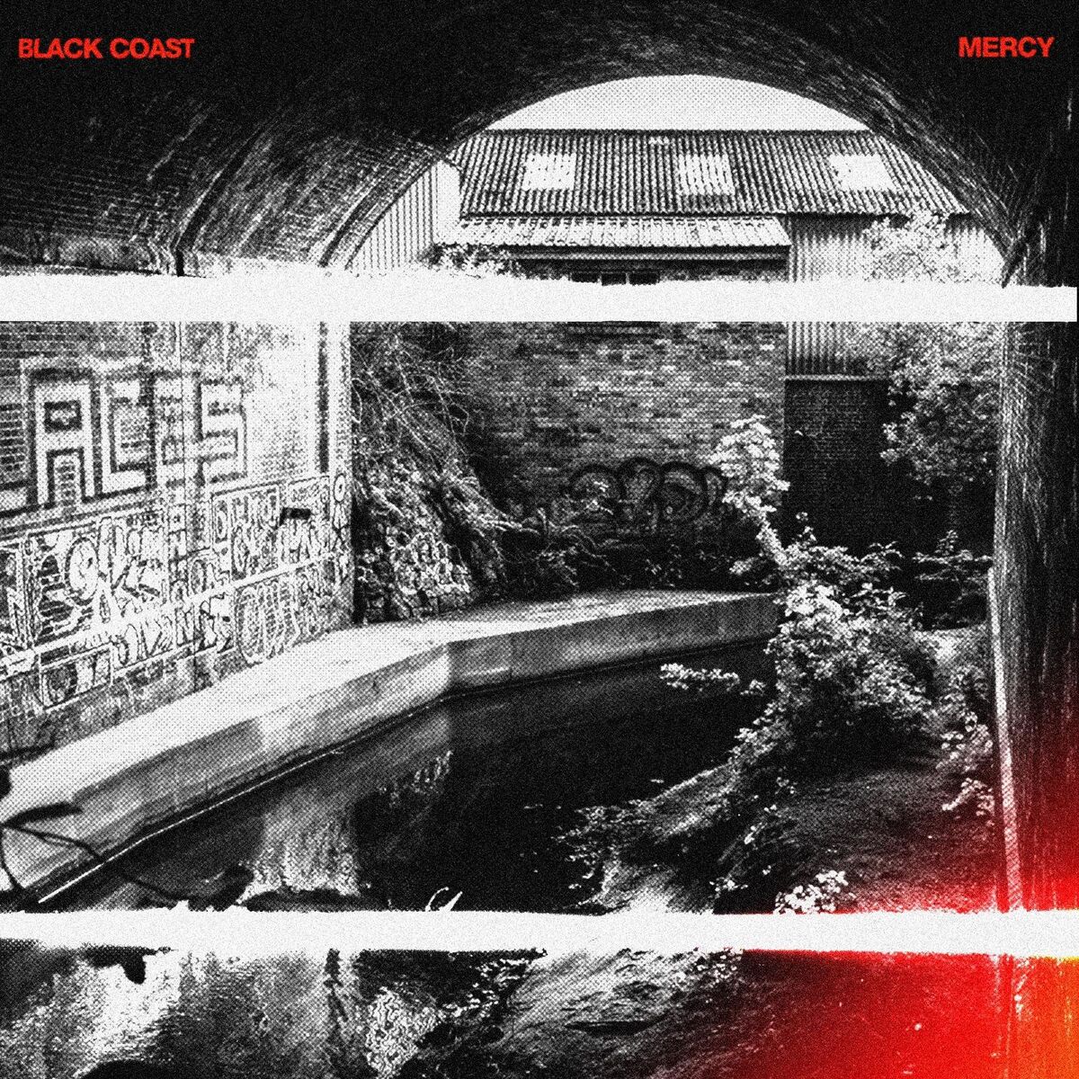 Album cover of Mercy