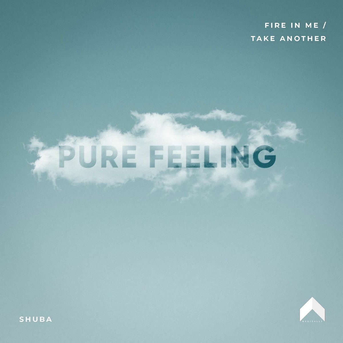 Album cover of Fire In Me