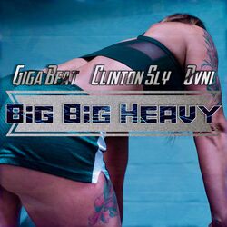 Cover of Big Big Heavy