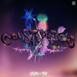 Cover of Constellations
