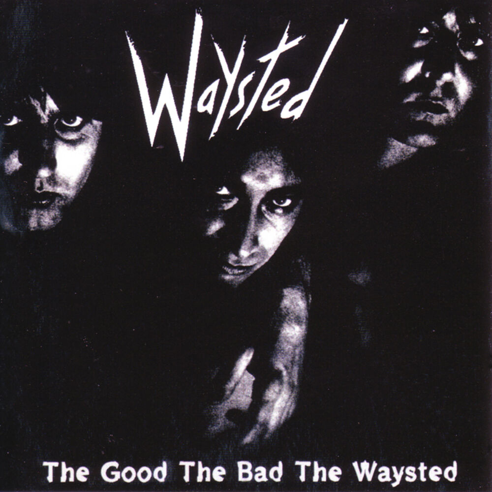 Picture of The Good The Bad The Waysted