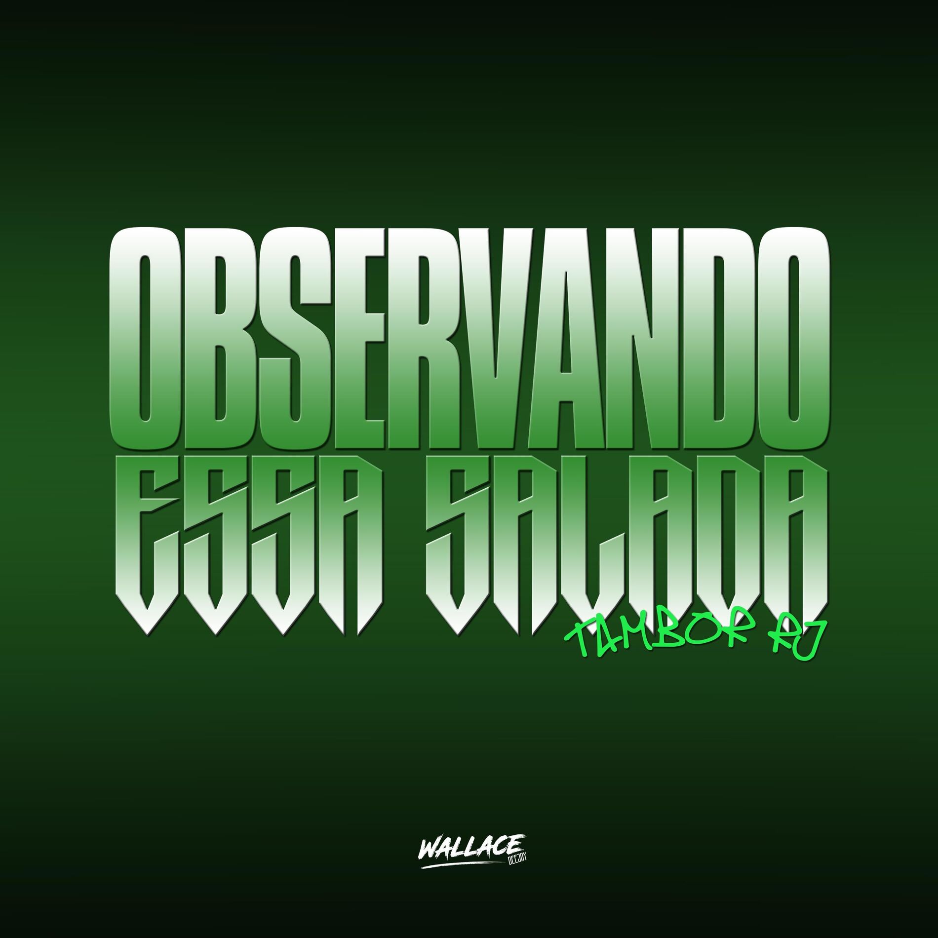 Album cover of OBSERVANDO ESSA SALADA VS TAMBOR RJ
