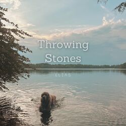 Cover of Throwing Stones