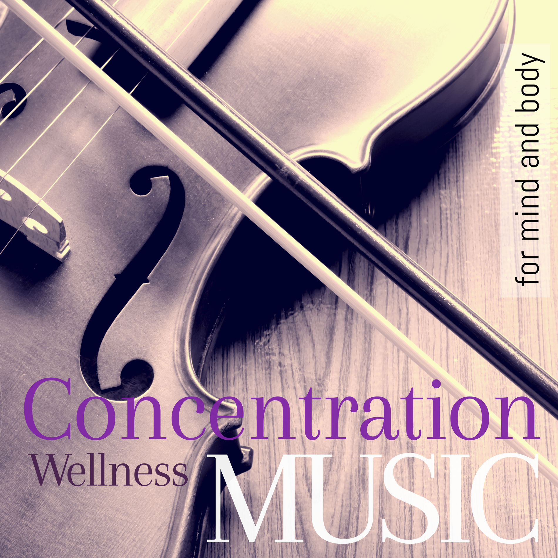 Album cover of Concentration and Wellness Music for Mind and Body