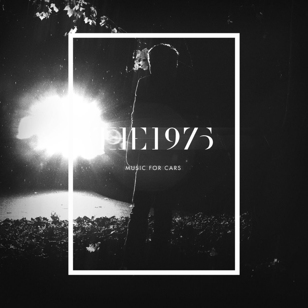 Album cover of HNSCC