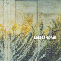 Cover of Breezehome (Live)