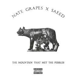 Cover of The Mountain That Met The Pebbles