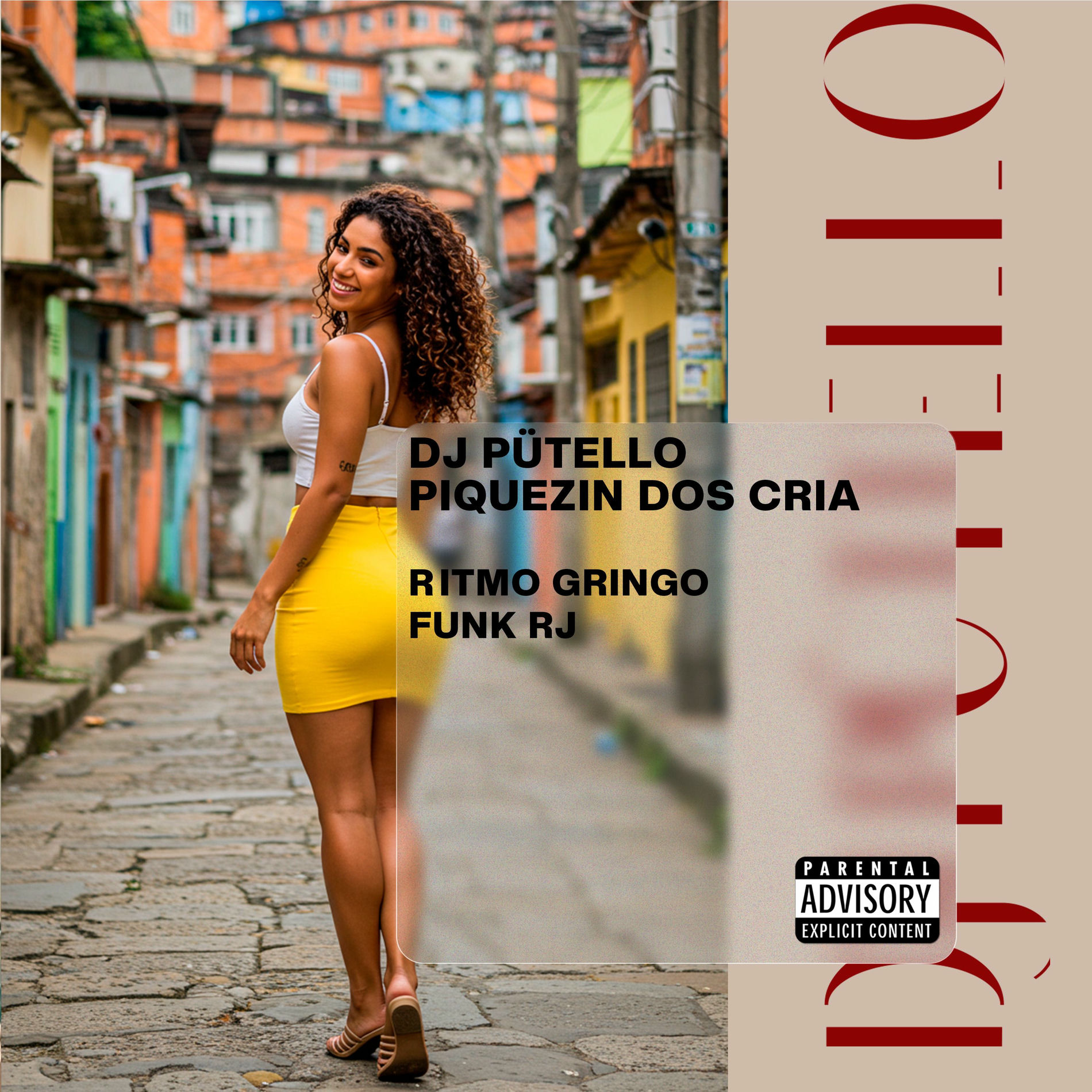 Album cover of Ritmo Gringo