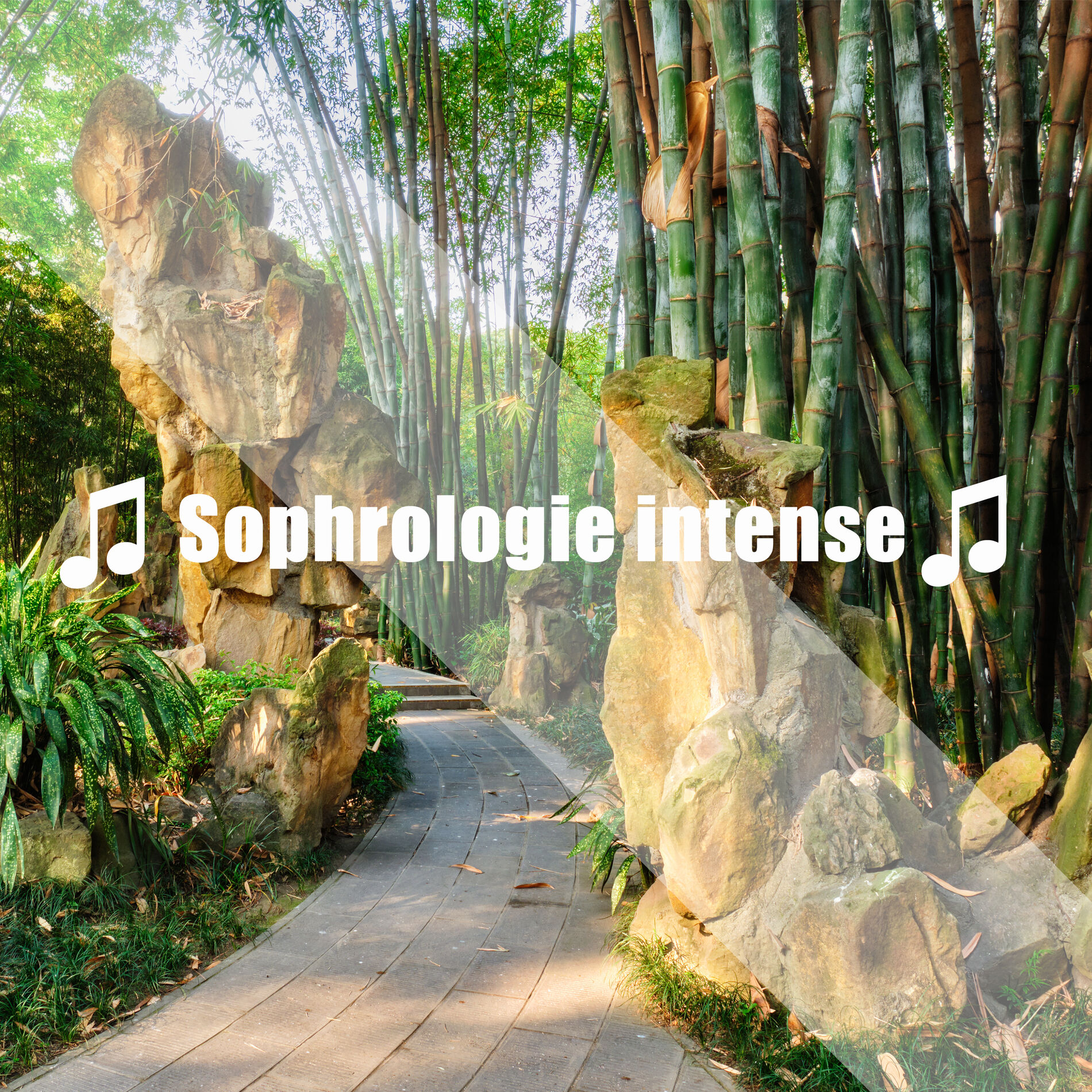 Album cover of ♫ Sophrologie intense ♫