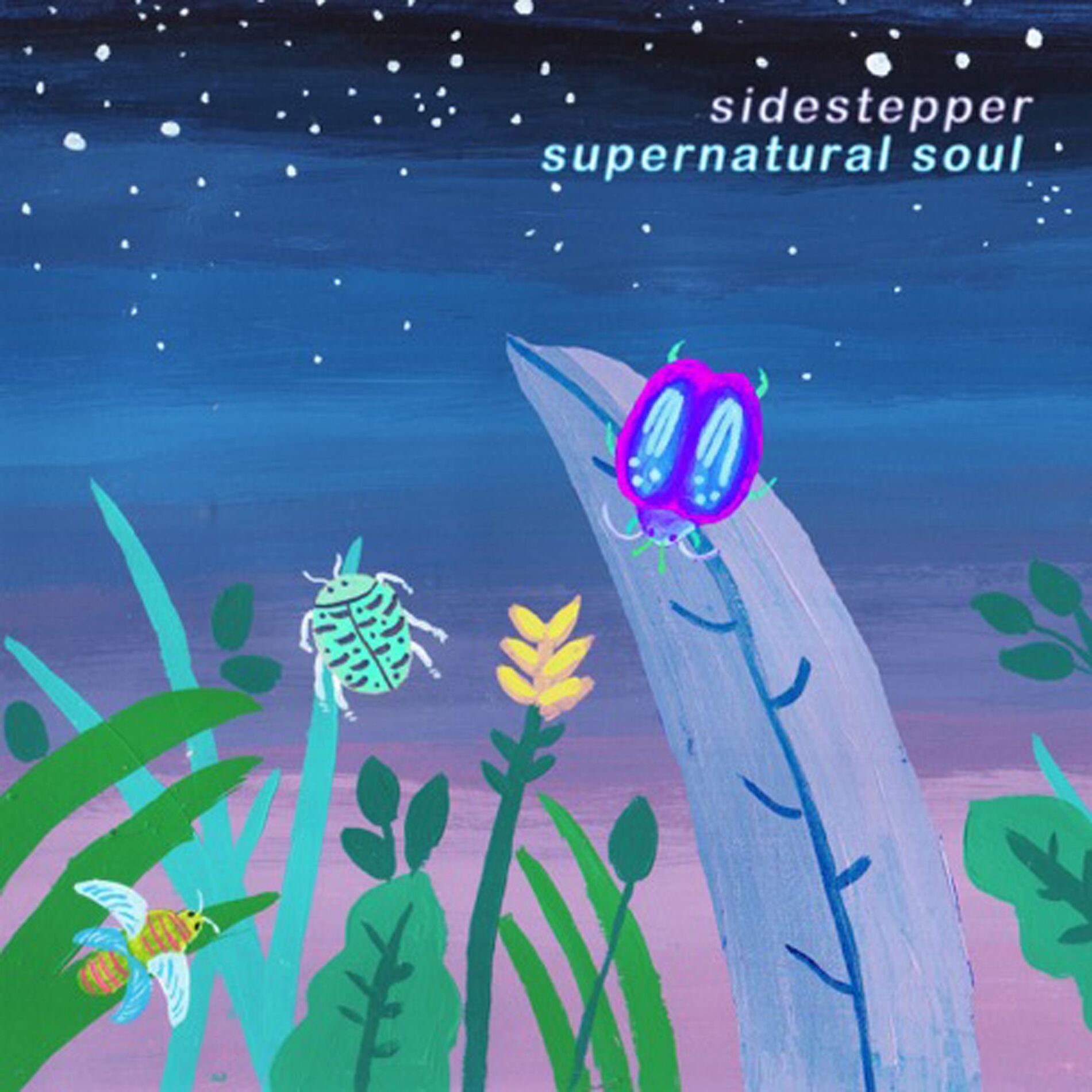 Album cover of Supernatural Soul