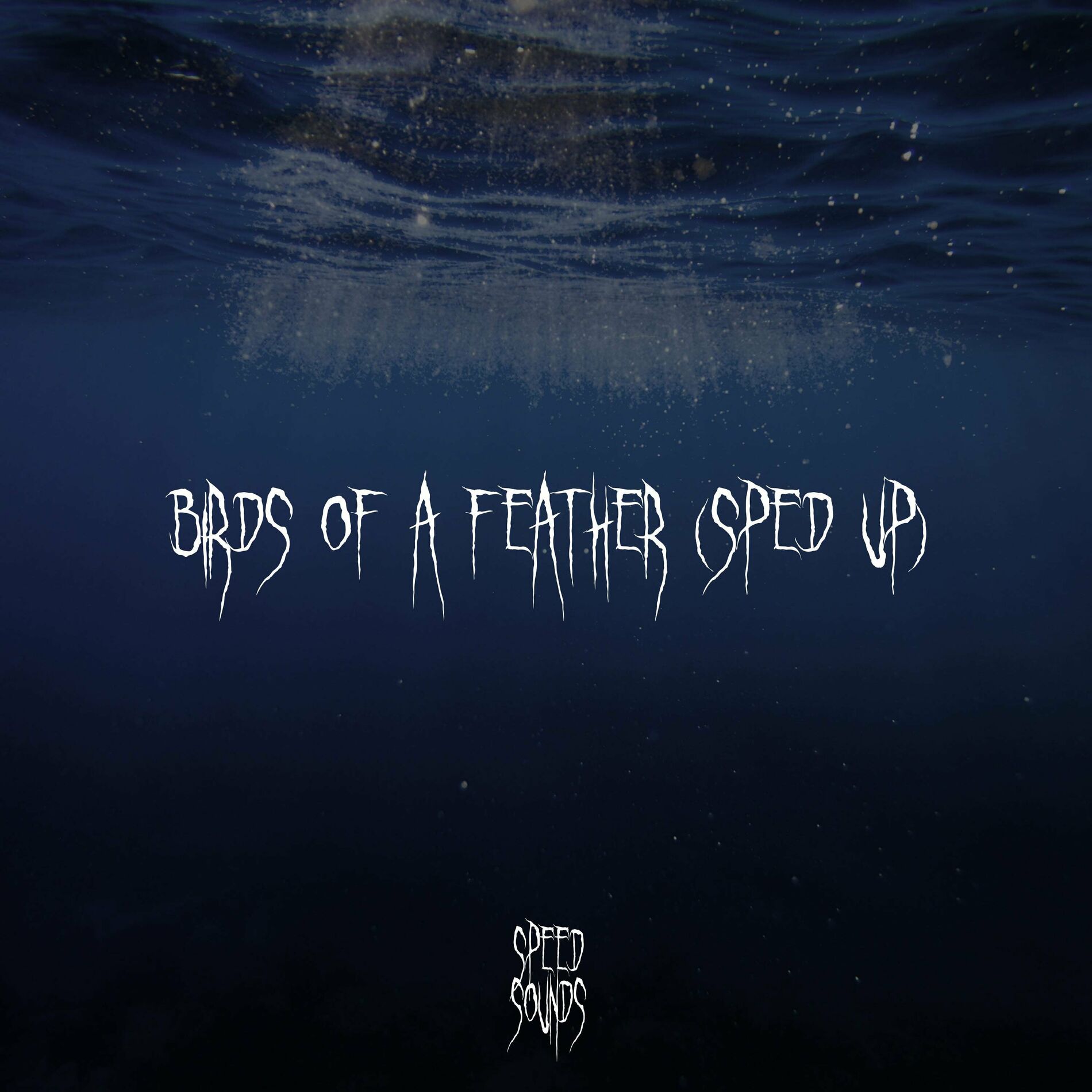 Album cover of BIRDS OF A FEATHER (Sped Up)