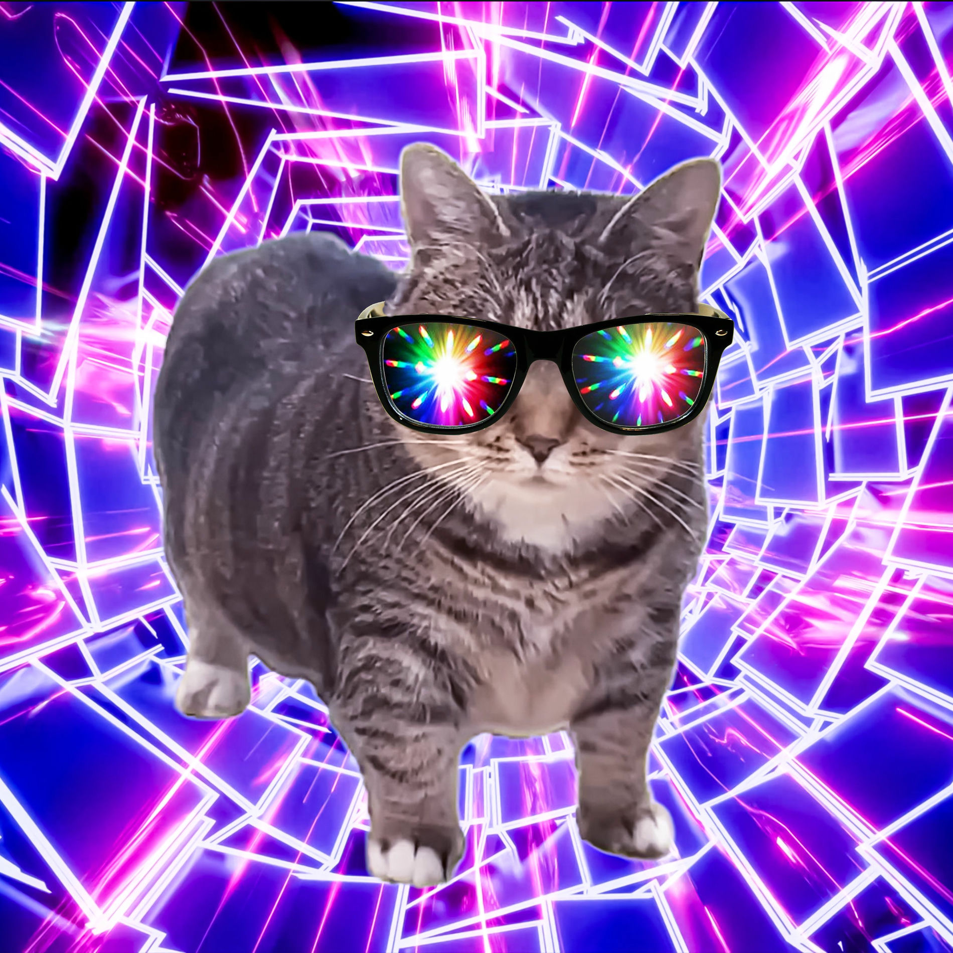 Album cover of OIIA TECHNO CAT
