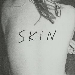 Cover of Skin