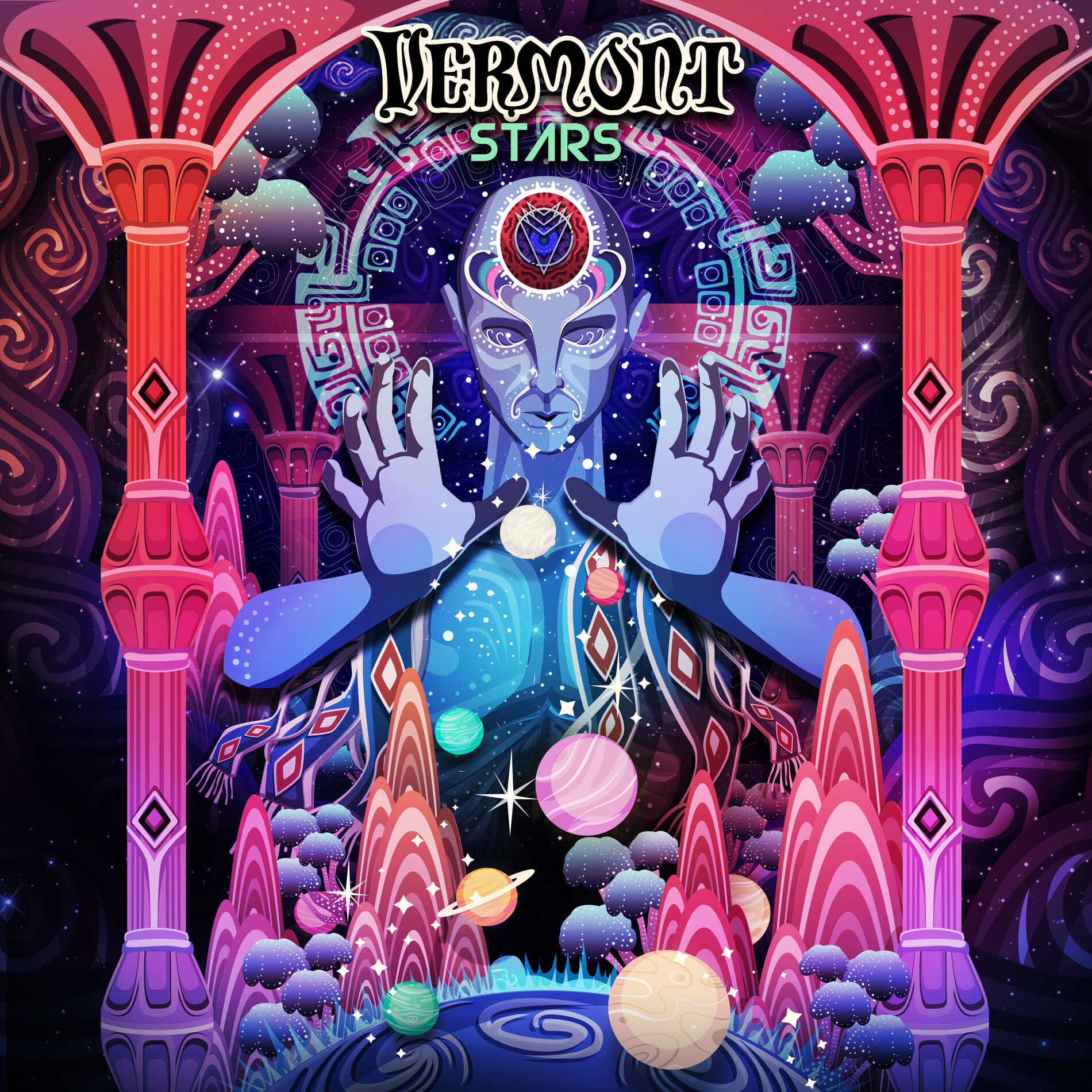 Album cover of Survey Selva