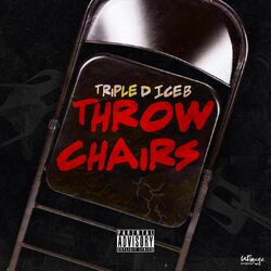 Cover of Throw Chairs