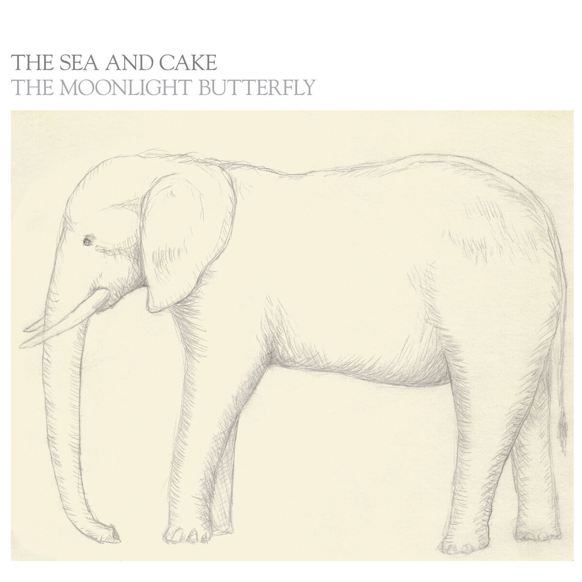 Album cover of The Moonlight Butterfly