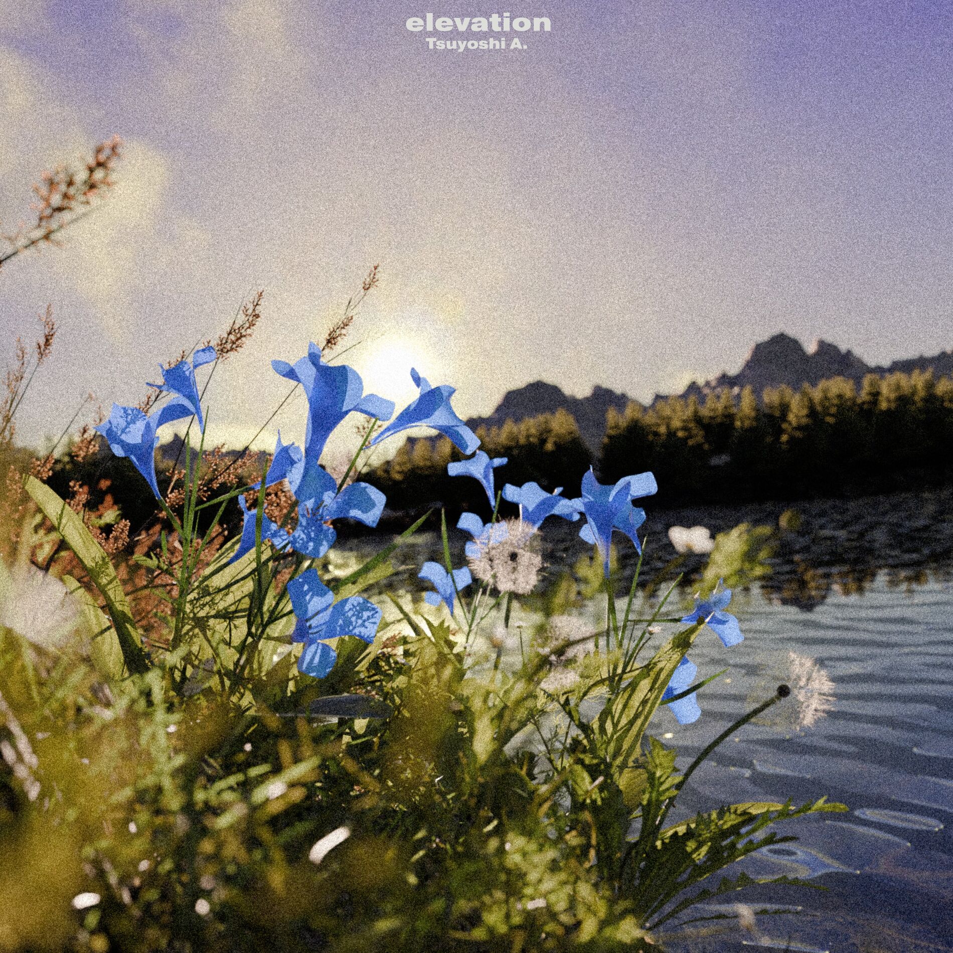 Album cover of elevation