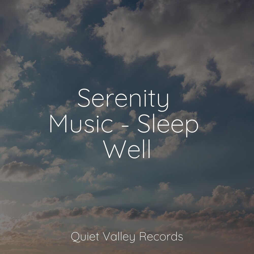 Picture of Serenity Music - Sleep Well