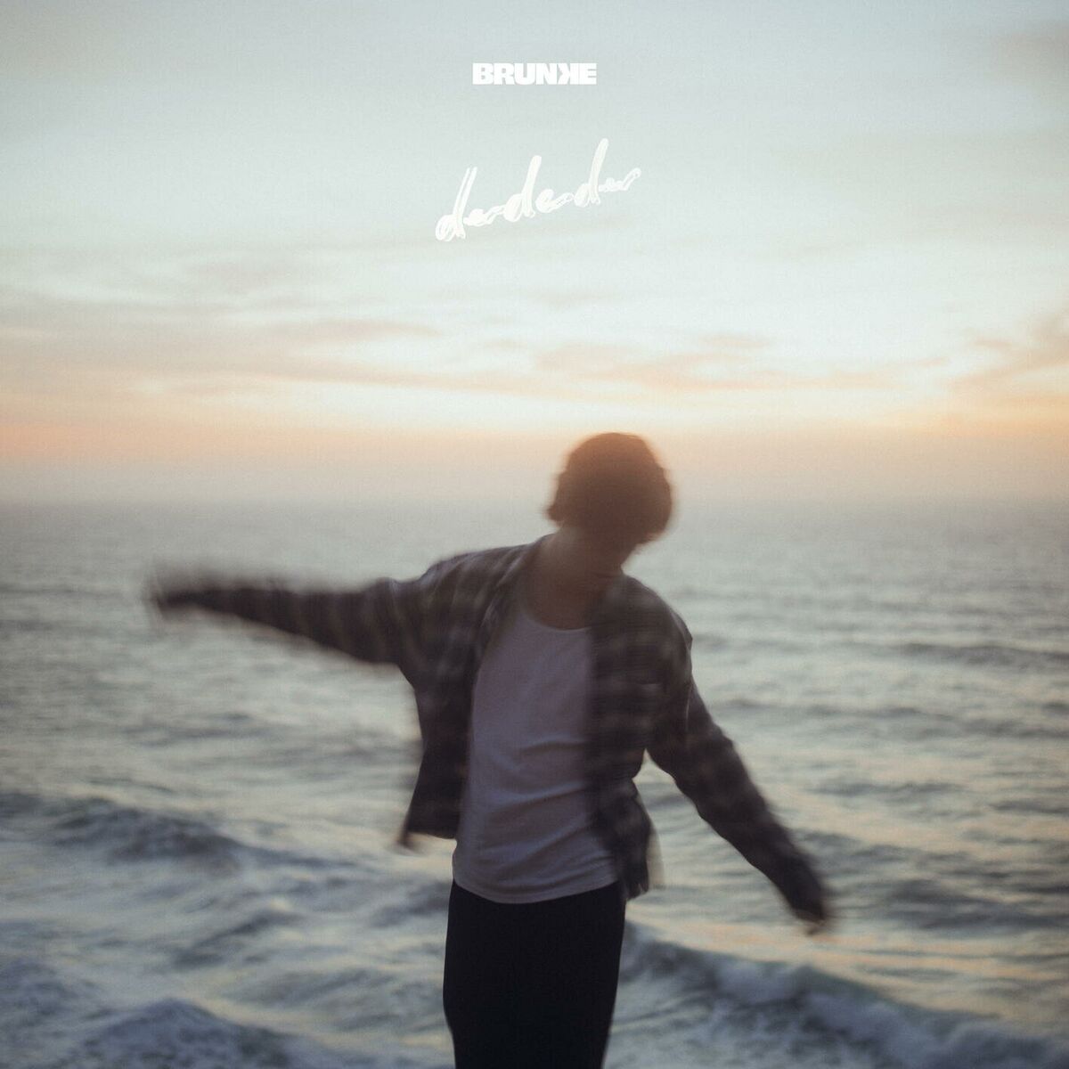Album cover of derderder
