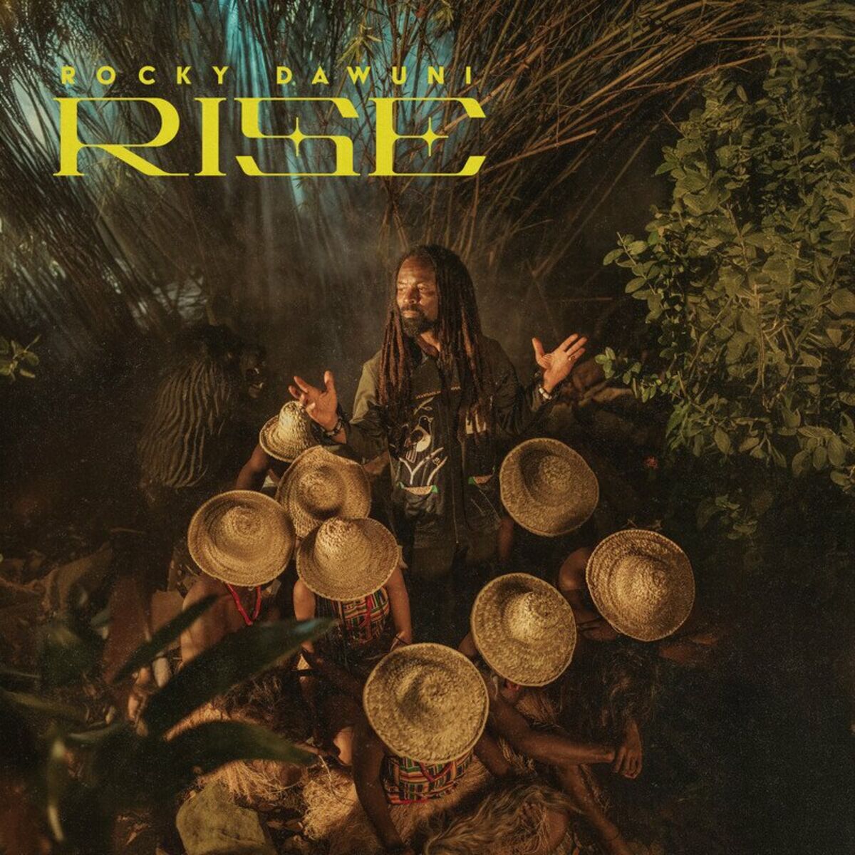 Album cover of Rise