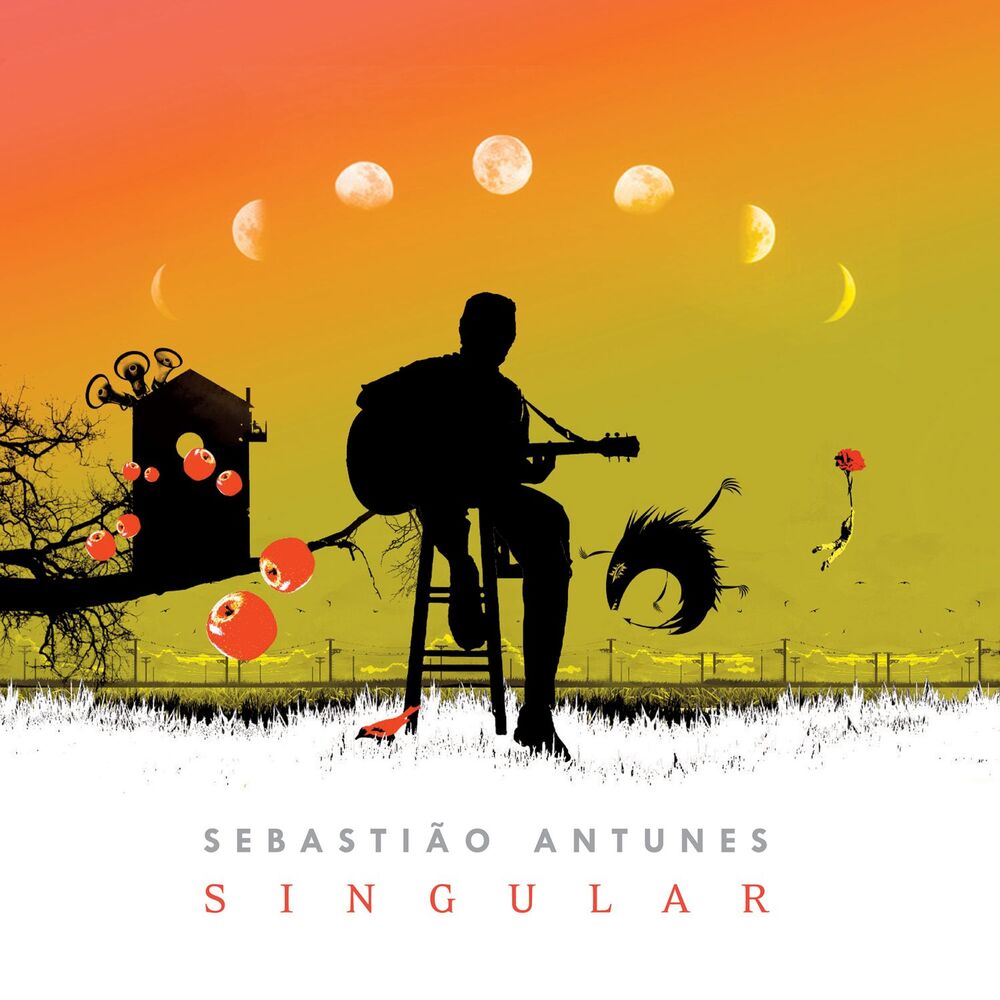 Picture of Singular