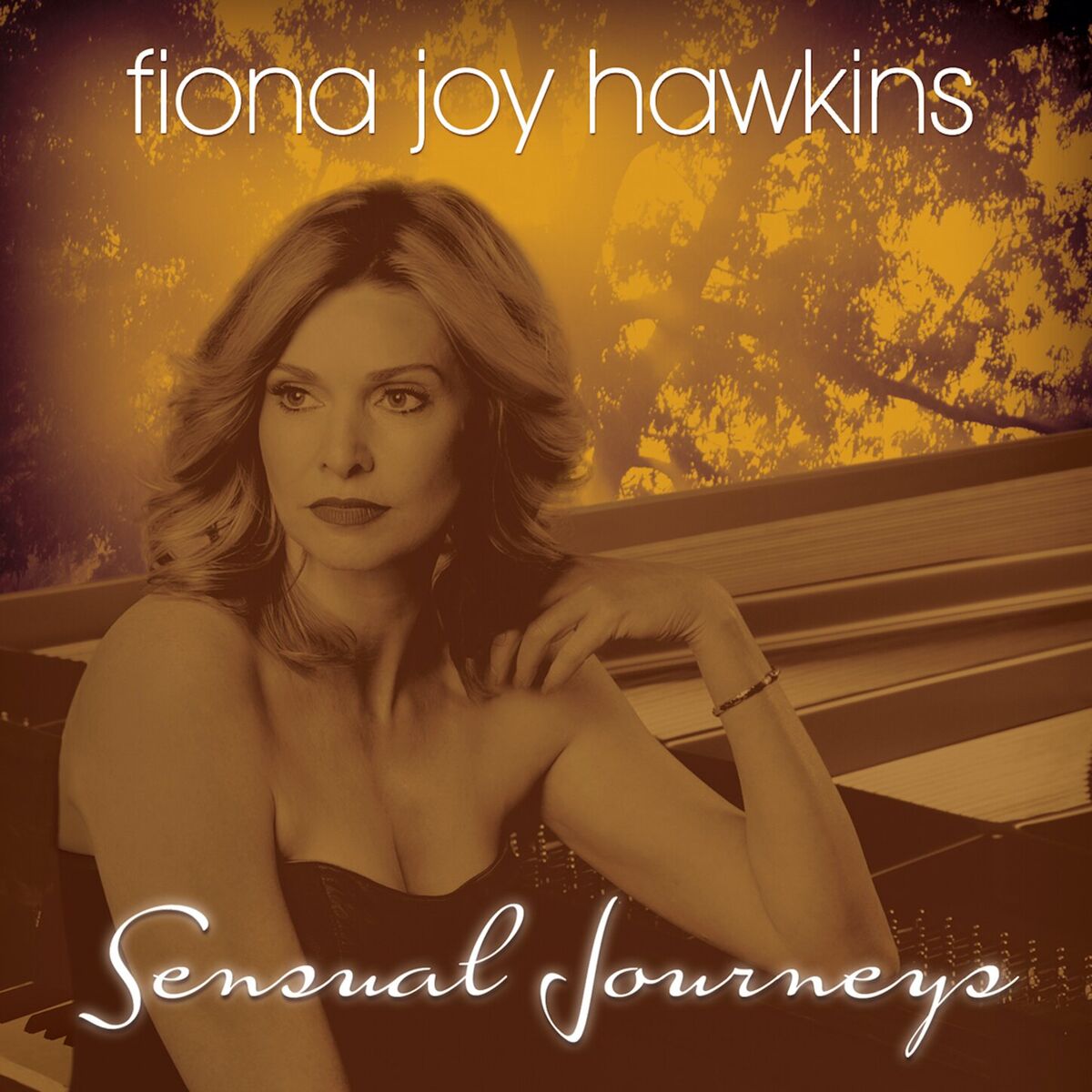 Album cover of Sensual Journeys