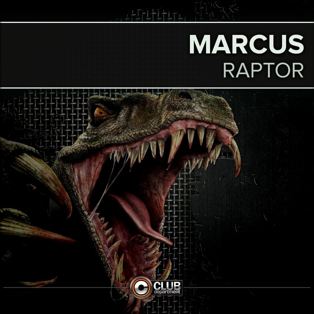 Picture of Raptor