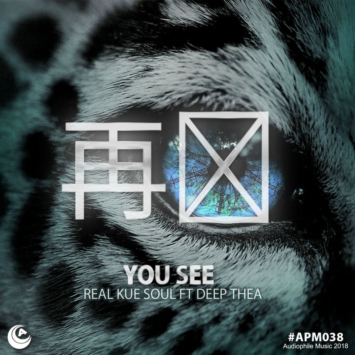 Album cover of You See