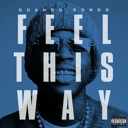 Cover of Feel This Way
