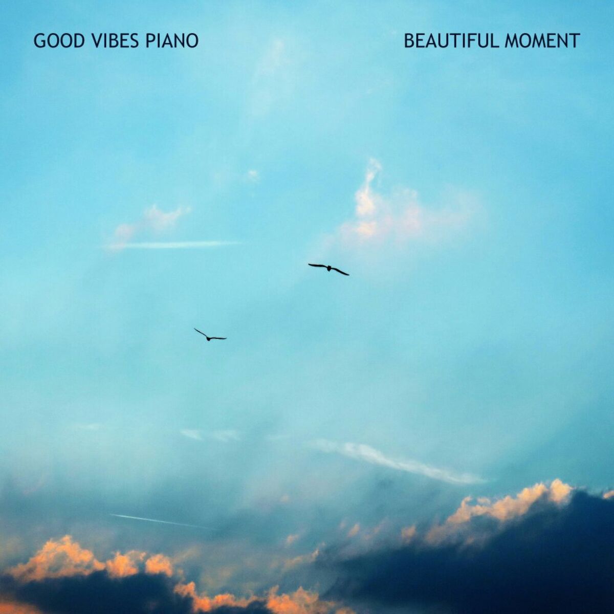 Album cover of Beautiful Moment