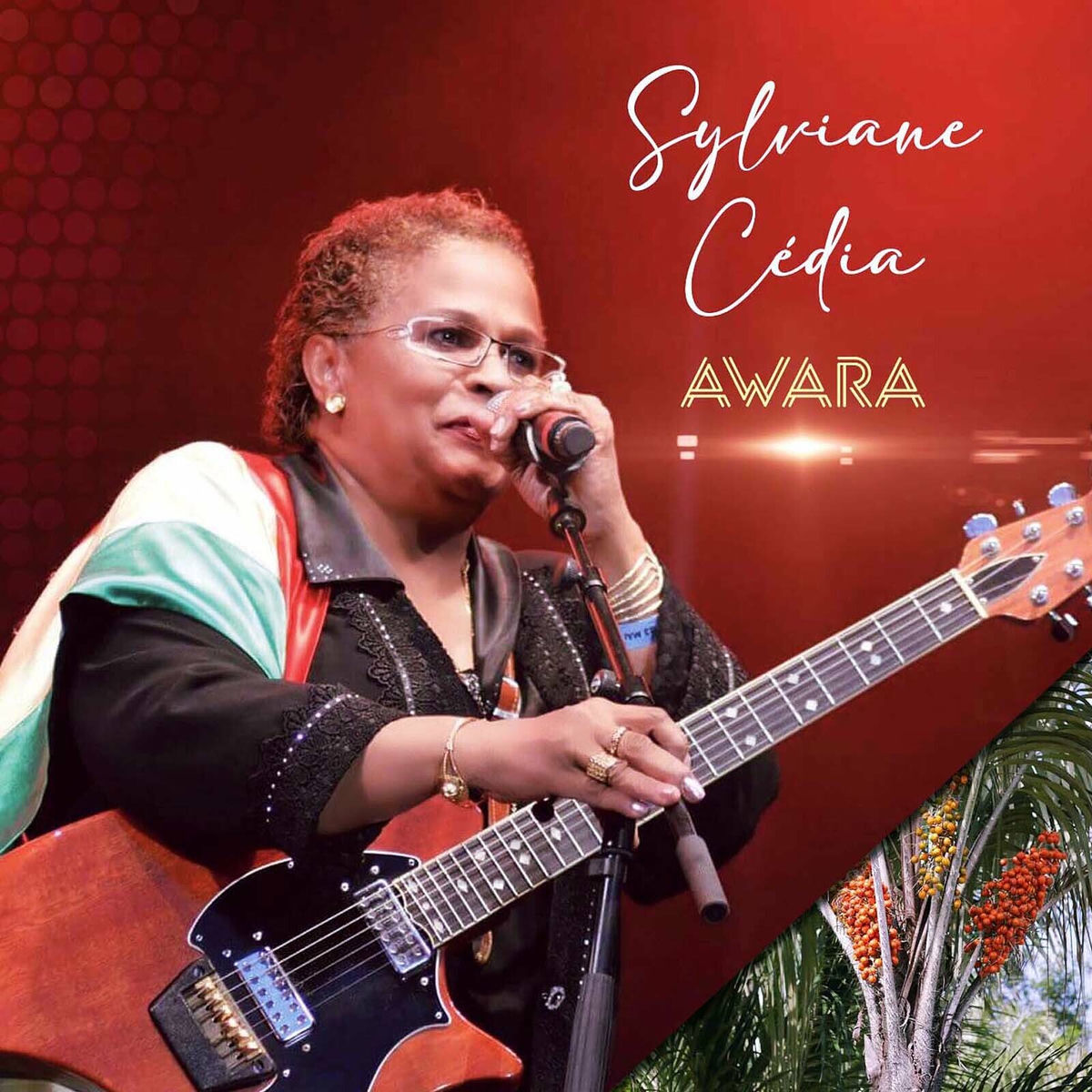 Album cover of AWARA