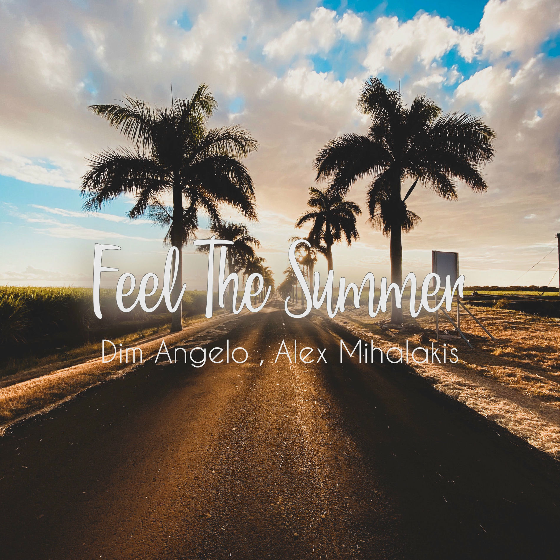 Album cover of Feel The Summer