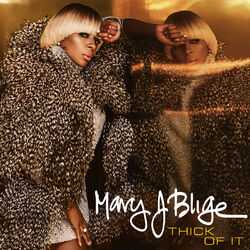 Cover of Thick Of It
