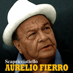 Cover of Scapricciatiello