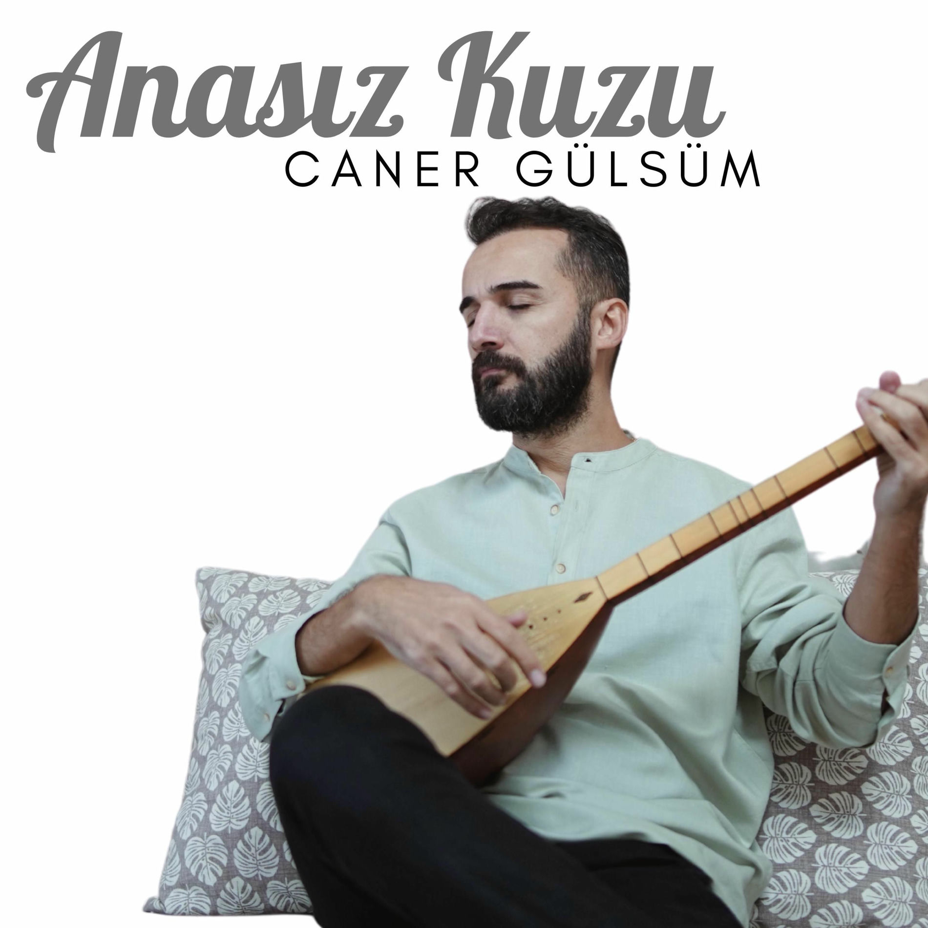 Album cover of Anasız kuzu