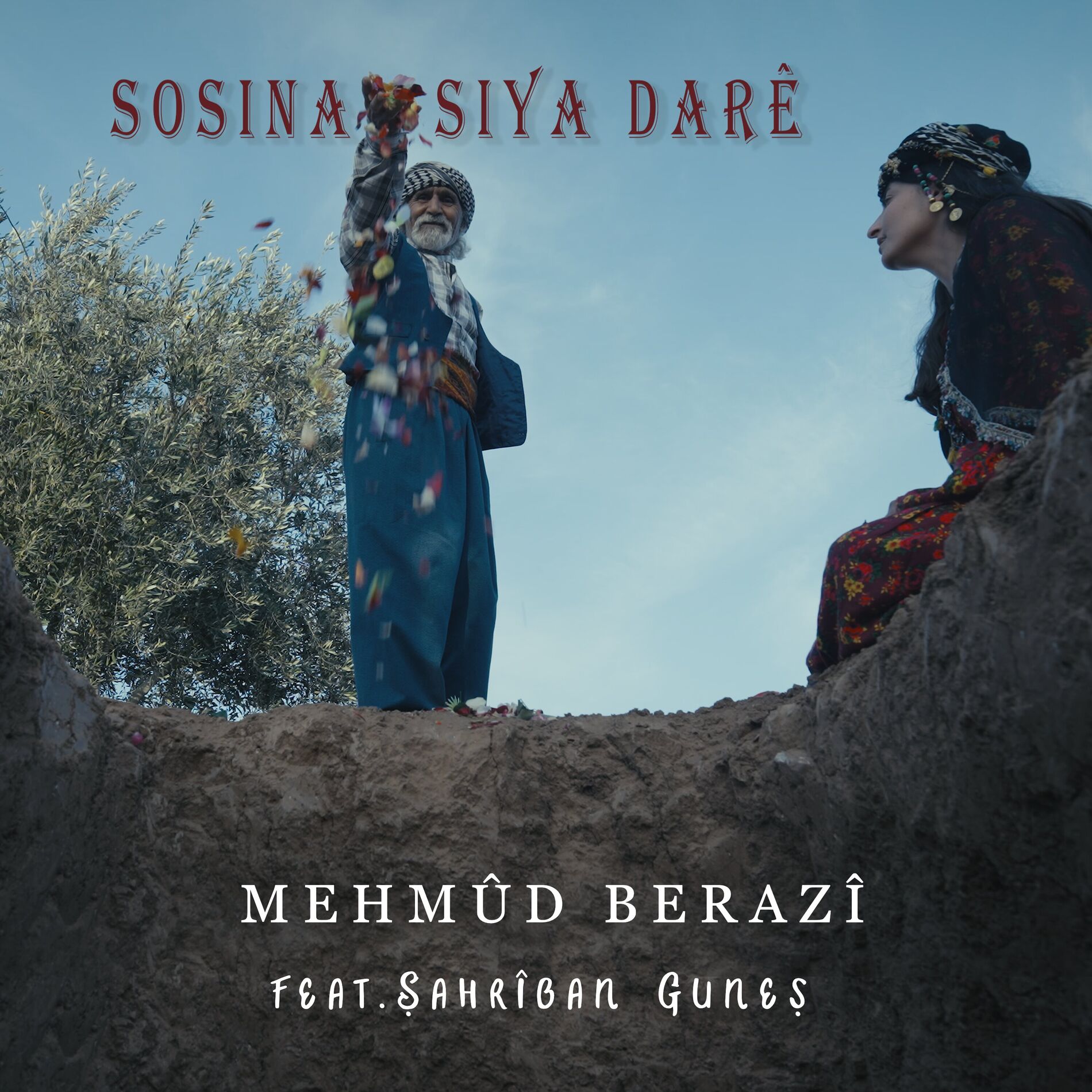 Album cover of Sosina Siya Darê
