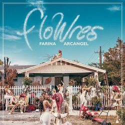 Cover of FloWres