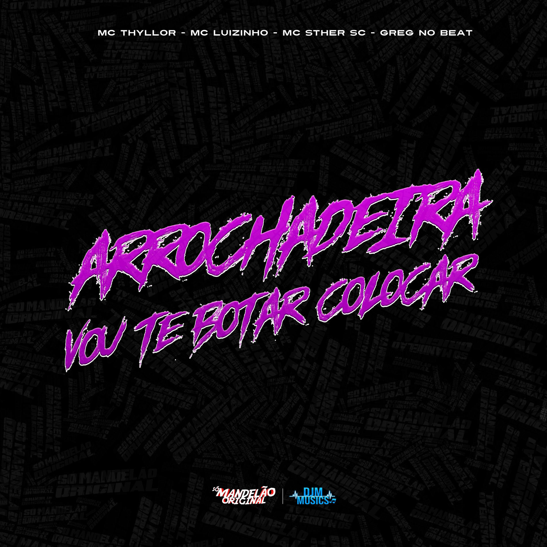 Album cover of Arrochadeira Vou Te Botar Colocar