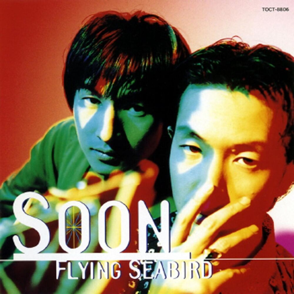 Picture of Flying Seabird