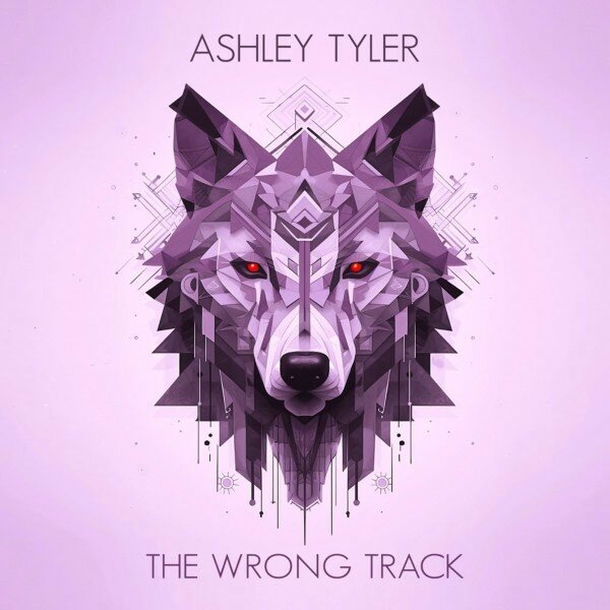 Album cover of The Wrong Track